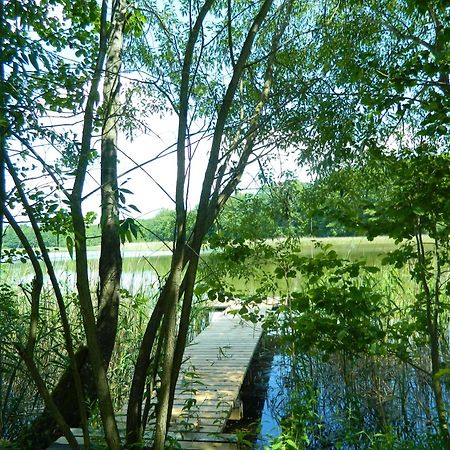 Siedlisko Agroturystyczne Villa Mrągowo Kültér fotó